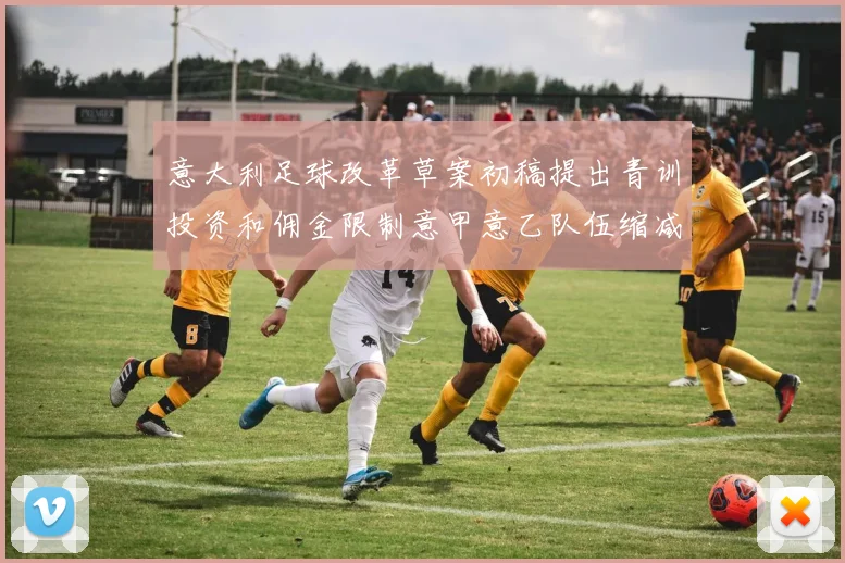 意大利足球改革草案初稿提出青训投资和佣金限制意甲意乙队伍缩减至18队